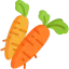 Carrot icon 64x64