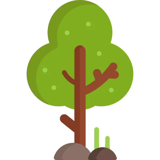 Tree icon