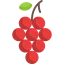 Grapes icon 64x64