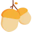Acorn icon 64x64