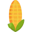 Corn icon 64x64