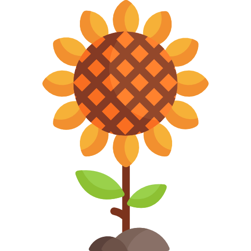 Sunflower icon