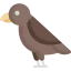 Bird icon 64x64