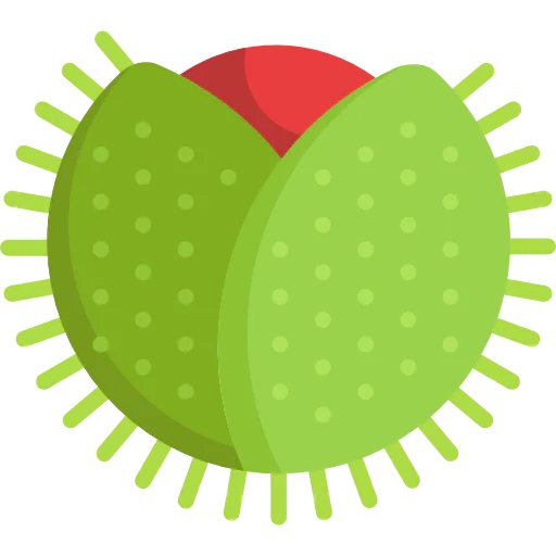 Chestnut icon