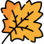 Maple leaf 图标 64x64