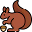 Squirrel icon 64x64