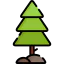 Pine icon 64x64