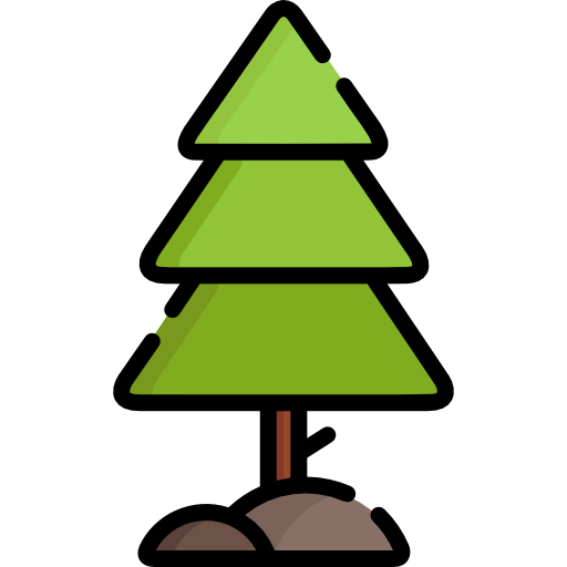 Pine icon