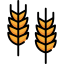 Wheat icon 64x64