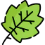 Leaf icon 64x64