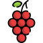 Grapes icon 64x64