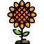 Sunflower icon 64x64