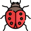 Ladybug icon 64x64