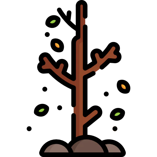 Tree icon