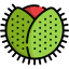 Chestnut ícono 64x64