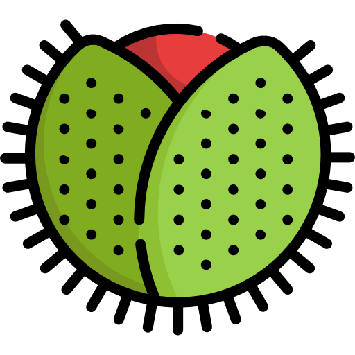 Chestnut icon