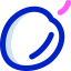 Plum icon 64x64