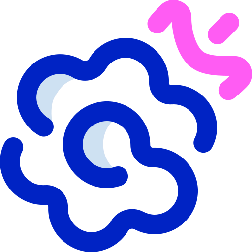 Raspberry icon