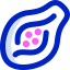 Papaya icon 64x64