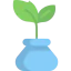 Sprout icon 64x64