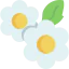 Flowers icon 64x64