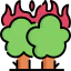 Wildfire icon 64x64