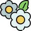 Flowers icon 64x64