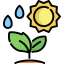 Sprout icon 64x64