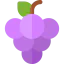 Grapes icon 64x64