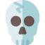 Skull icon 64x64