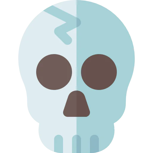 Skull icon
