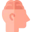 Anatomy icon 64x64