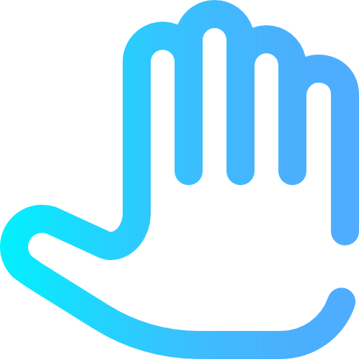 Privacy icon