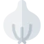 Onion icon 64x64