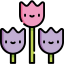 Tulips icon 64x64
