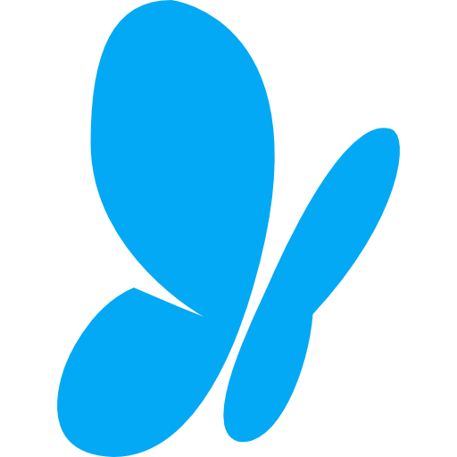 Msn icon