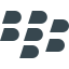 Blackberry icon 64x64