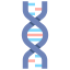 Dna icon 64x64