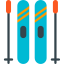 Skii icon 64x64