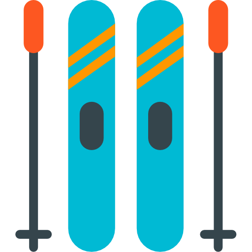 Skii icon