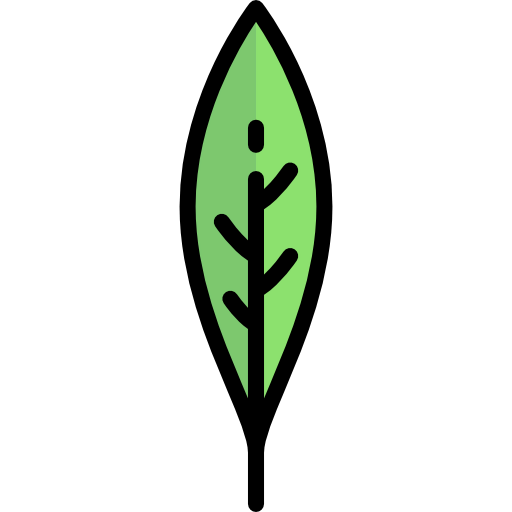 Spinach icon