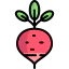 Radish icon 64x64