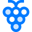 Grapes icon 64x64