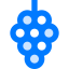 Berry icon 64x64