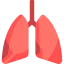 Lungs icon 64x64