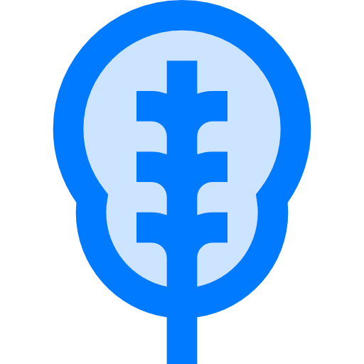 Spinach icon