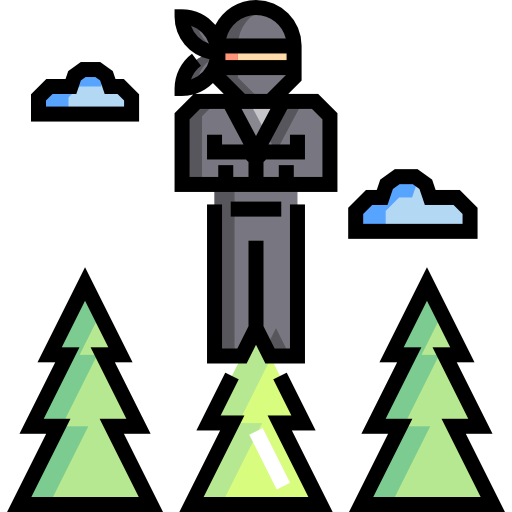 Ninja icon
