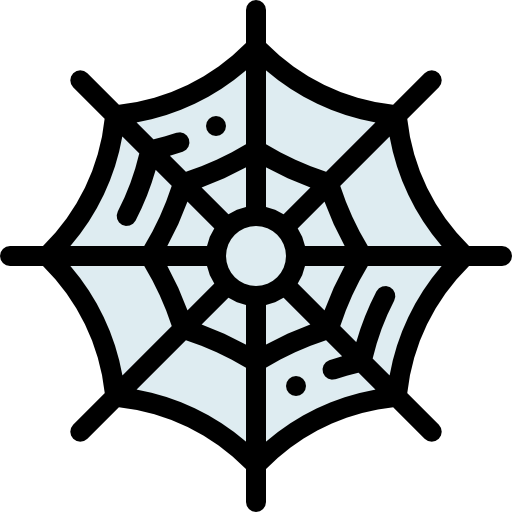 Spider web icon