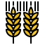 Wheat icon 64x64