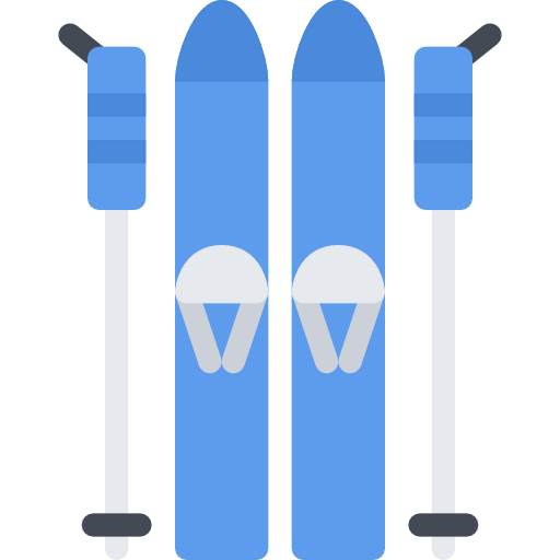 Ski icon